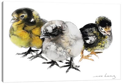 Chick Cuties Canvas Art Print - Black, White & Yellow Art