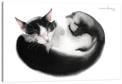 Dream Cat Canvas Art Print - Tuxedo Cat Art
