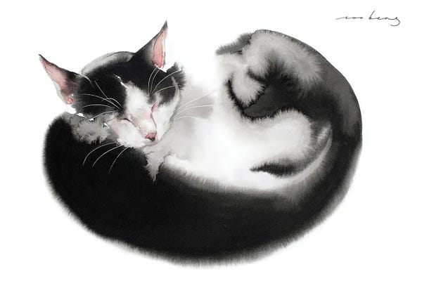 Tuxedo Cats: Dream Cat by Soo Beng Lim