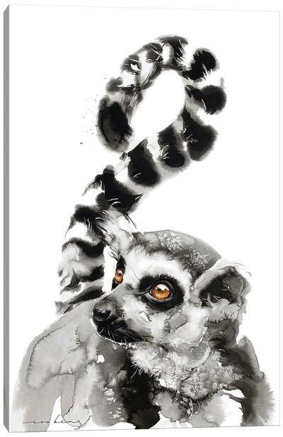 Lemur Gaze Canvas Art Print - Lemur Art