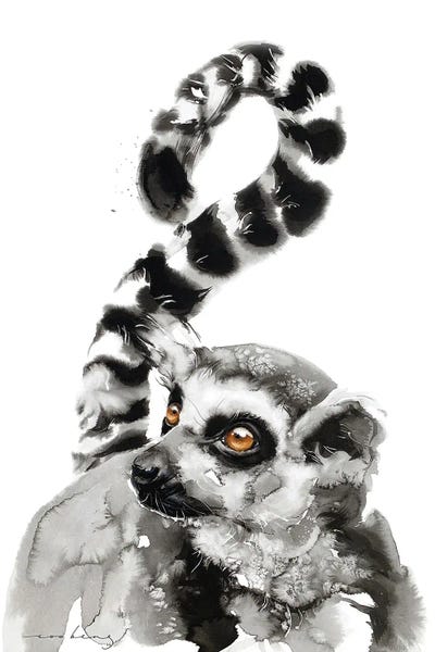 Lemurs: Lemur Gaze by Soo Beng Lim