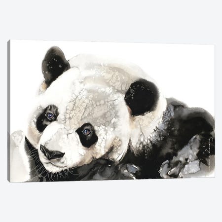 Panda Musings Canvas Print #LIM432} by Soo Beng Lim Canvas Print