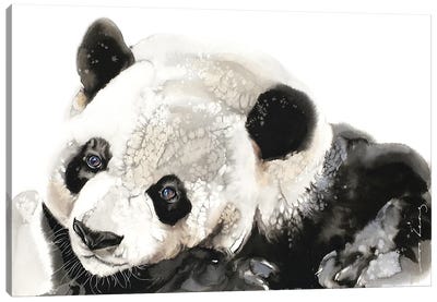 Panda Musings Canvas Art Print - Soo Beng Lim