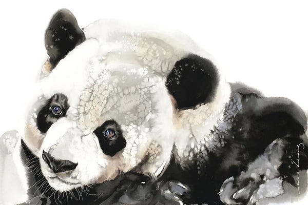 Soo Beng Lim: Panda Musings by Soo Beng Lim