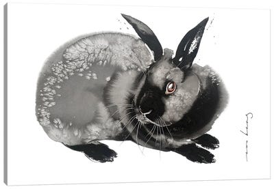 Prosperity Rabbit Canvas Art Print - Soo Beng Lim