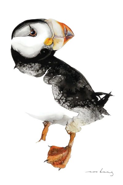 Soo Beng Lim: Puffin Wonder by Soo Beng Lim