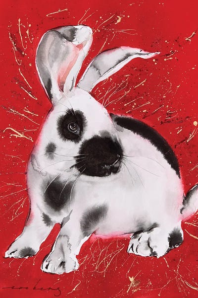 Rabbit Twinkle by Soo Beng Lim framed canvas print