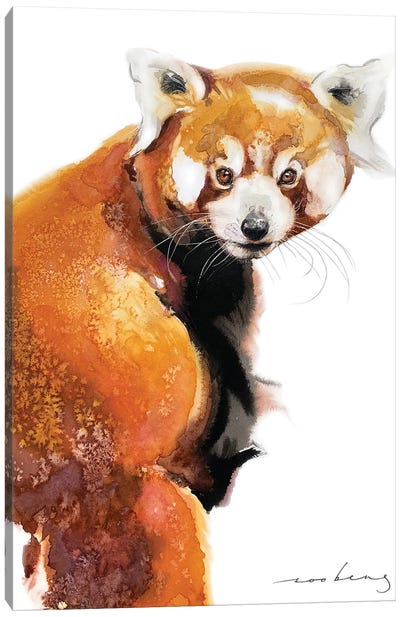 Red Panda Charm Canvas Art Print - Red Panda Art