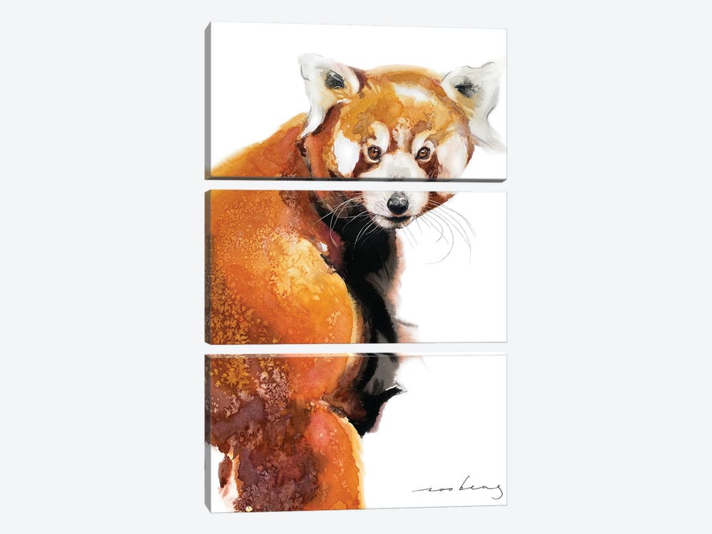 Red Panda Charm by Soo Beng Lim 3-piece Canvas Art