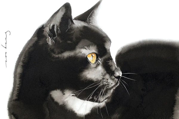 Black Cats: Relaxing Cat II by Soo Beng Lim