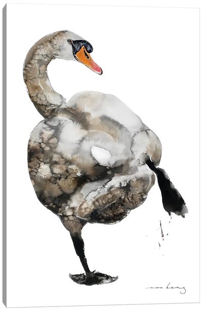 Swan Hip Hop Canvas Art Print - Swan Art