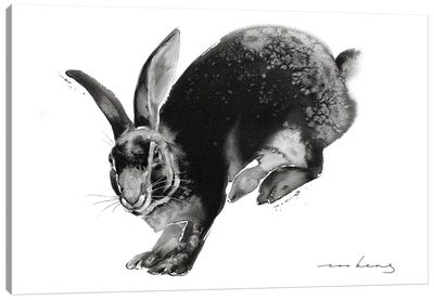 Rabbit Returns Canvas Art Print - Soo Beng Lim
