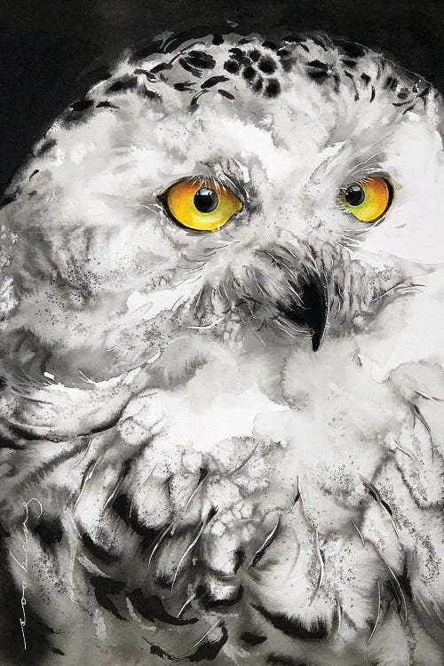 Lumi Owl