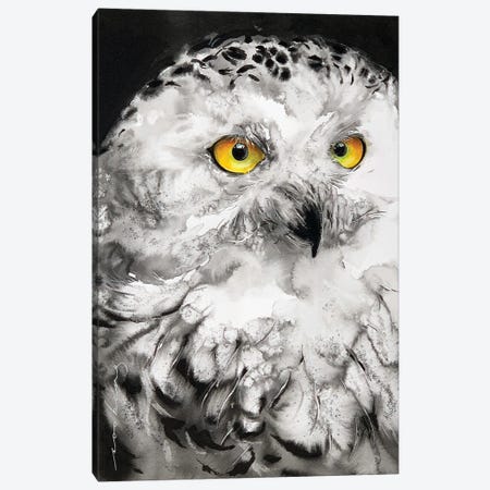 Lumi Owl Canvas Print #LIM459} by Soo Beng Lim Art Print
