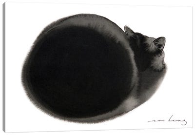 Siesta Cat Canvas Art Print - Sleeping & Napping Art