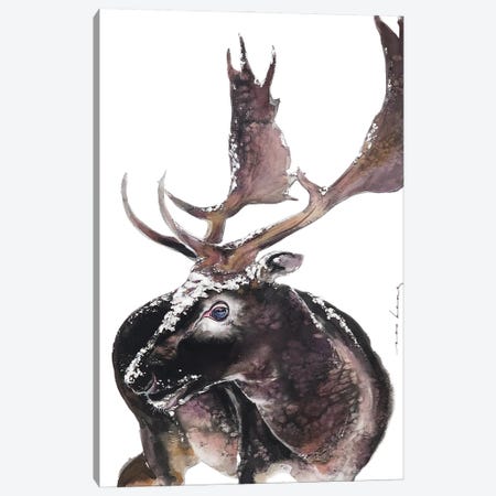 Antlers Canvas Print #LIM466} by Soo Beng Lim Canvas Print