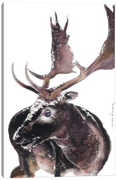 Antlers Canvas Art Print - Moose Art