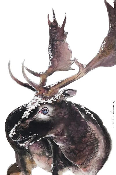 Moose: Antlers by Soo Beng Lim