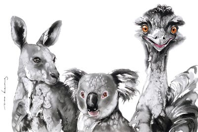 Emus