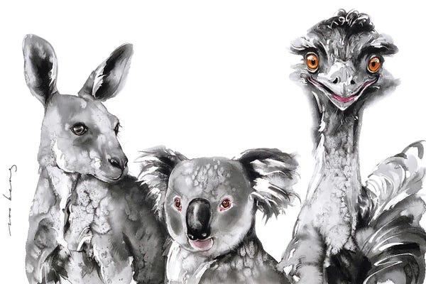 Emus