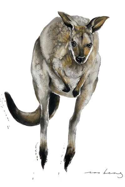 Australian Roo by Soo Beng Lim framed wall art
