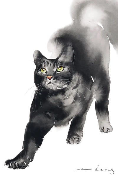 Black Cats: Cat Yoga by Soo Beng Lim