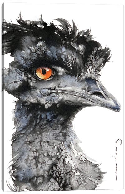 Curious Emu Canvas Art Print