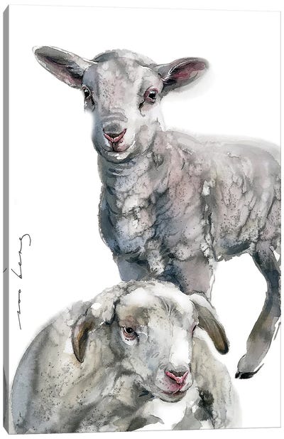 Twin Lambs Canvas Art Print - Soo Beng Lim