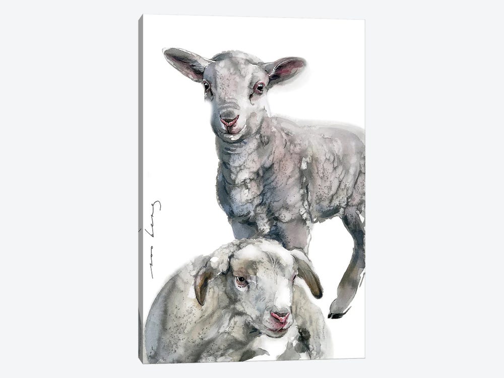 Twin Lambs by Soo Beng Lim 1-piece Canvas Print