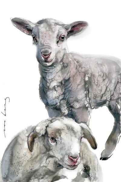 Soo Beng Lim: Twin Lambs by Soo Beng Lim