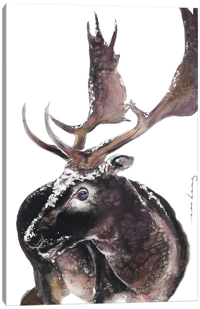 Antler Canvas Art Print - Moose Art