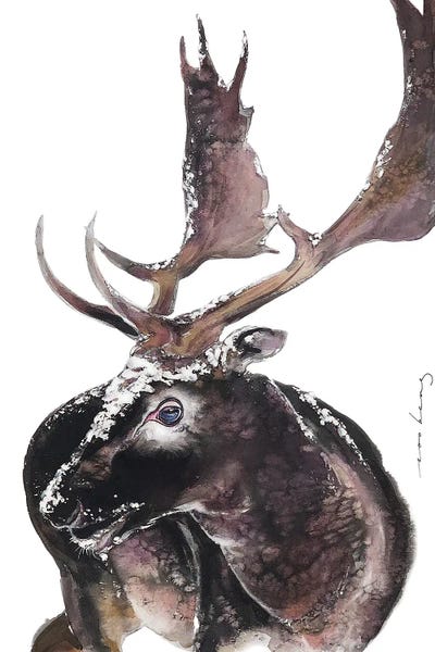 Moose: Antler by Soo Beng Lim