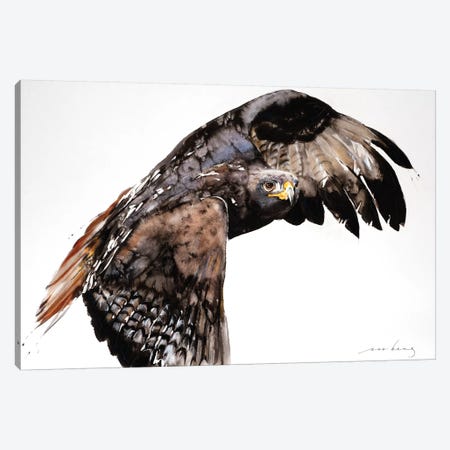 Falcon Canvas Print #LIM47} by Soo Beng Lim Canvas Art