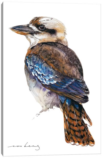 Kookaburra Canvas Art Print - Soo Beng Lim