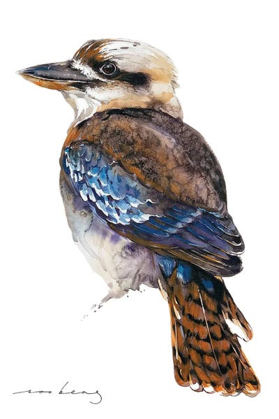Kingfishers: Kookaburra by Soo Beng Lim