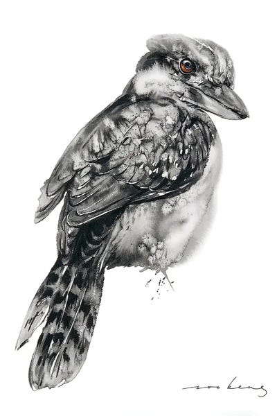 Kingfishers: Kookaburra II by Soo Beng Lim