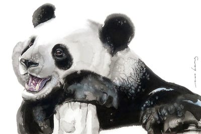 Happy Panda by Soo Beng Lim framed canvas print