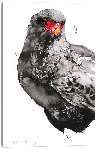 Hawk-Eagle Canvas Art Print - Buzzard & Hawk Art