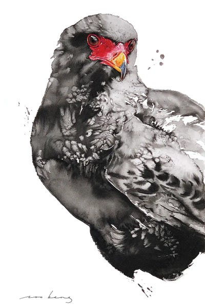 Soo Beng Lim: Hawk-Eagle by Soo Beng Lim