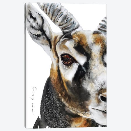 Antelope Instinct Canvas Print #LIM492} by Soo Beng Lim Canvas Art Print