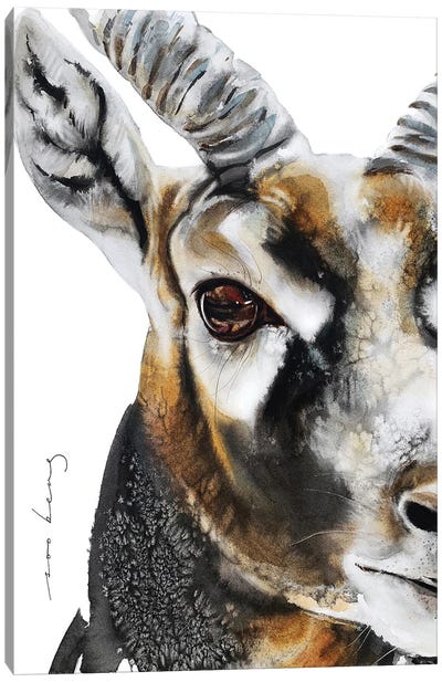Antelope Instinct Canvas Art Print - Antelope Art