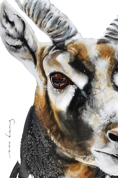 Antelopes: Antelope Instinct by Soo Beng Lim