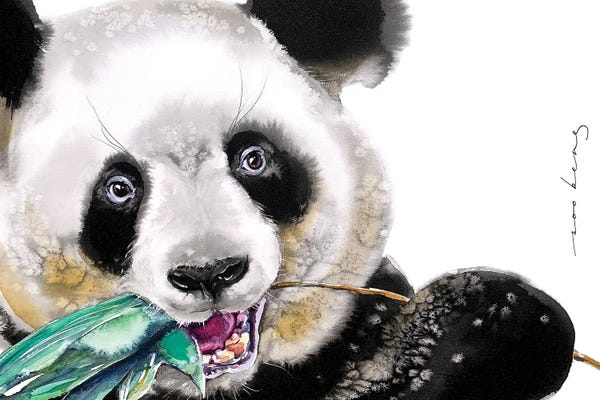 Pandas: Beary Delicious by Soo Beng Lim
