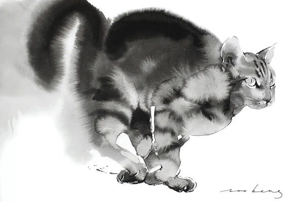 Soo Beng Lim: Cat Sprint by Soo Beng Lim