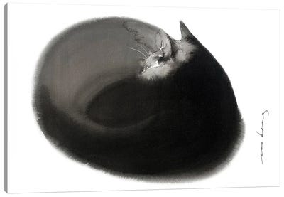 Cat Zzz Canvas Art Print - Black Cat Art