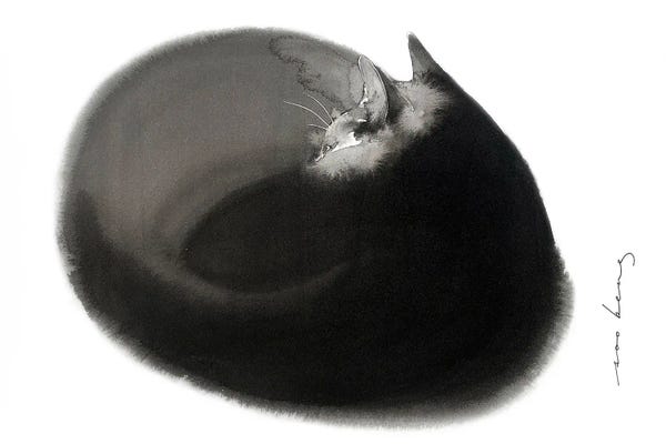 Soo Beng Lim: Cat Zzz by Soo Beng Lim