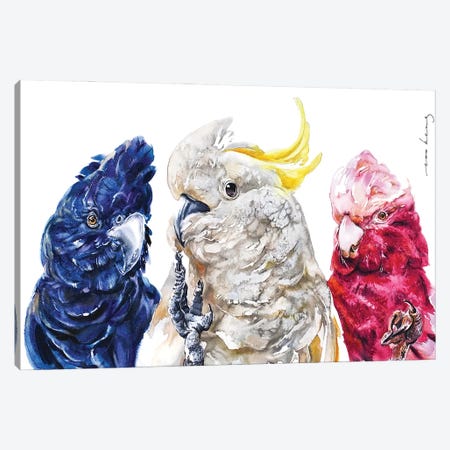 Cockatoo Trio Canvas Print #LIM503} by Soo Beng Lim Art Print