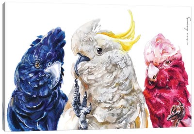 Cockatoo Trio Canvas Art Print - Cockatoo Art