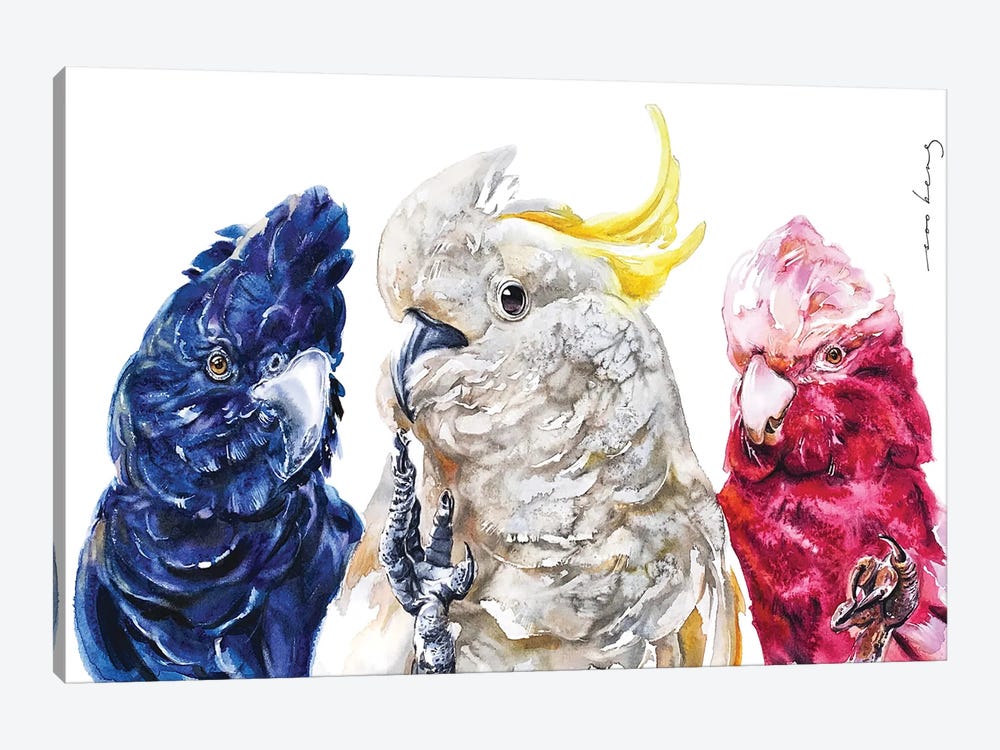 Cockatoo Trio by Soo Beng Lim 1-piece Canvas Art Print