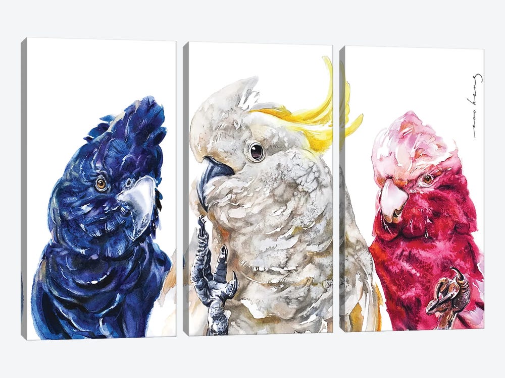 Cockatoo Trio by Soo Beng Lim 3-piece Canvas Art Print